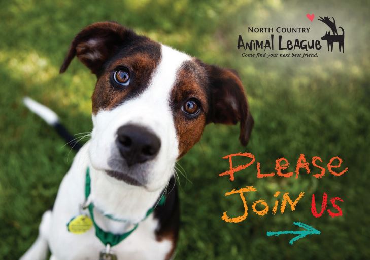 North Country Animal League Donation
