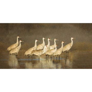 10 Sandhill Cranes