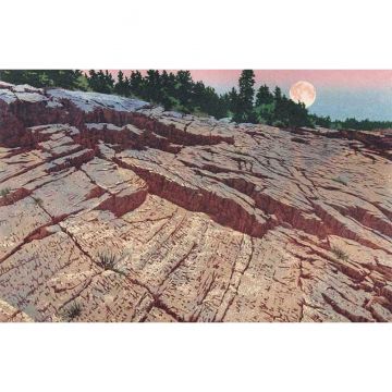 Acadian Moon - Limited Edition