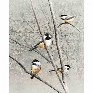 Four Chickadees