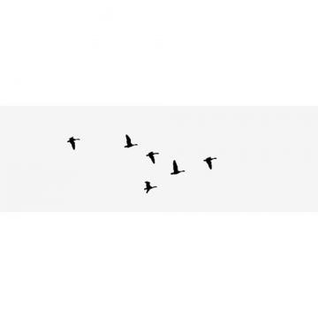 Geese