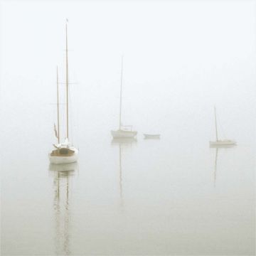 Harbor Fog