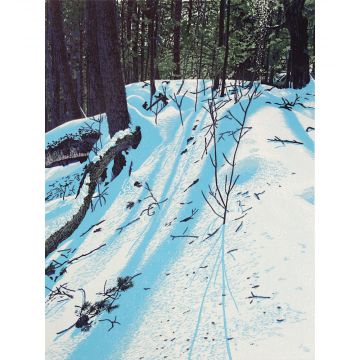 December Luster 12x9 - Framed or Matted