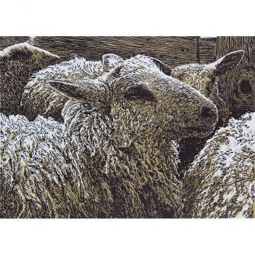 The Flock 5x7 - Framed