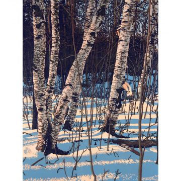 White Birch Shadows 12x9 - Framed or Matted