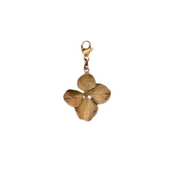 Hydrangea Charm