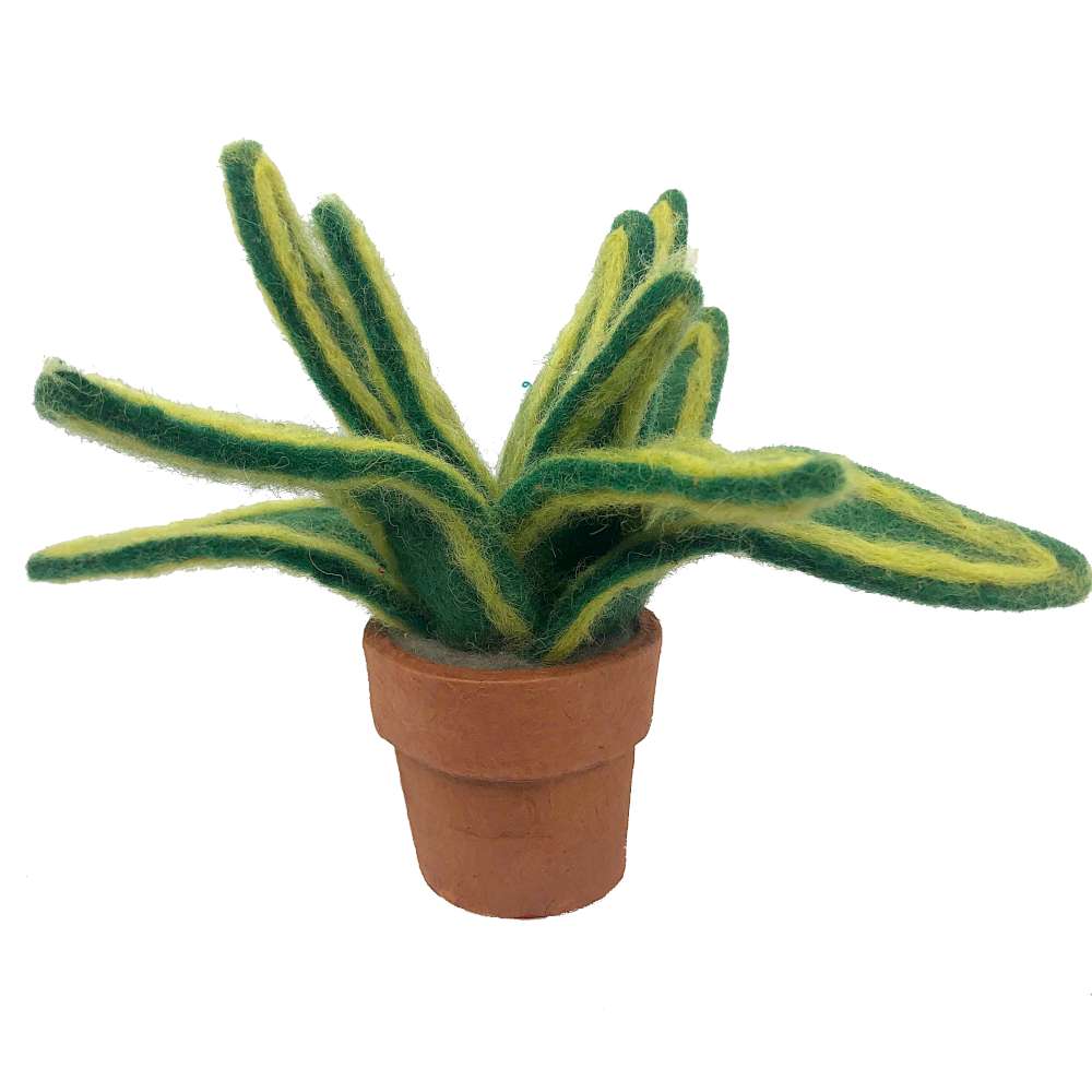 Felt Snake Plant