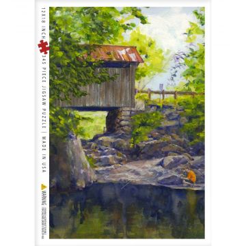 Emily's Bridge Puzzle