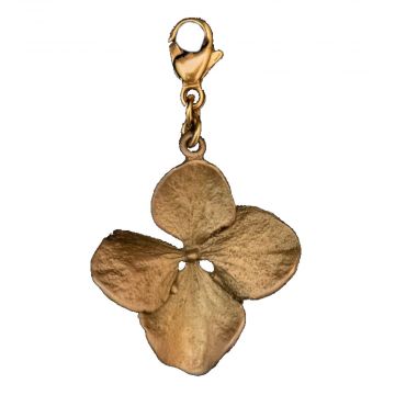 Hydrangea Charm