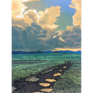 After the Storm- Limited Edition