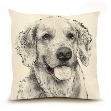 Eric & Christopher Large Golden #2 Pillow
