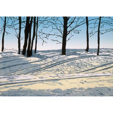 Morning Light - Limited Edition