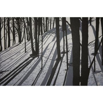 Silhouettes - Limited Edition