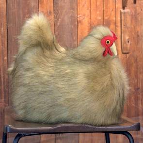 House Chickens